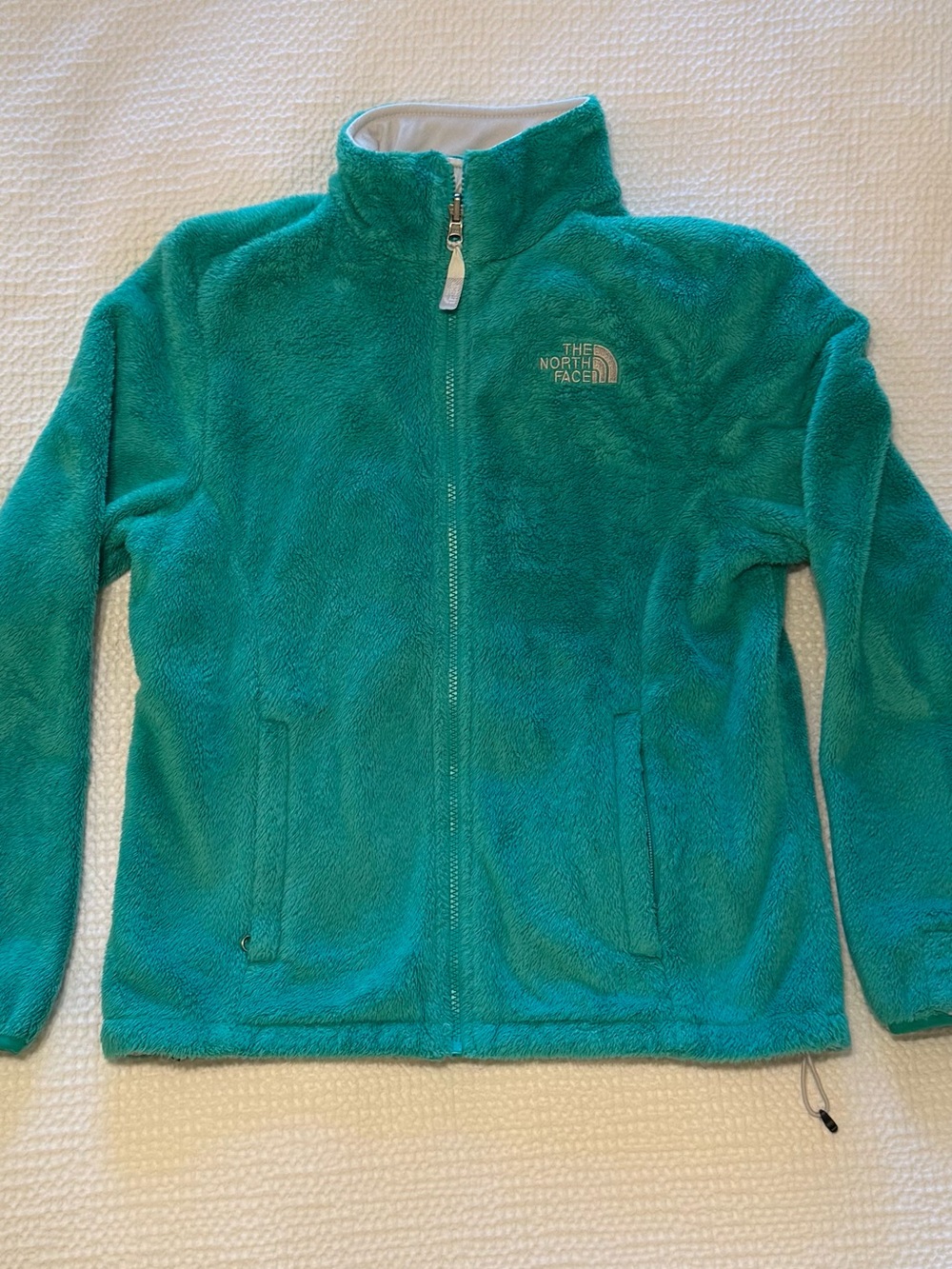 The North Face Teal Plush Fleece Full-Zip Jacket | Size S